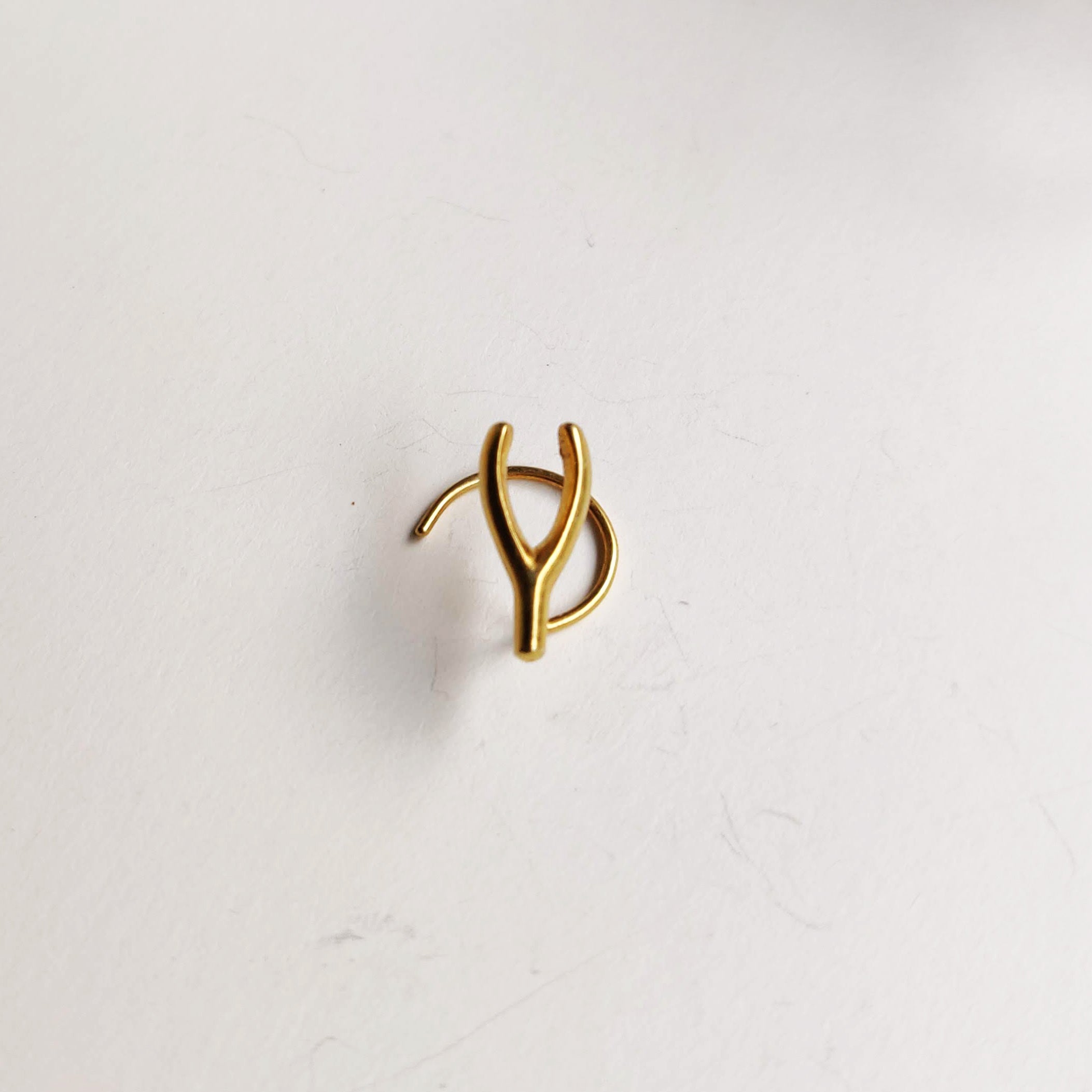Wish nose pin
